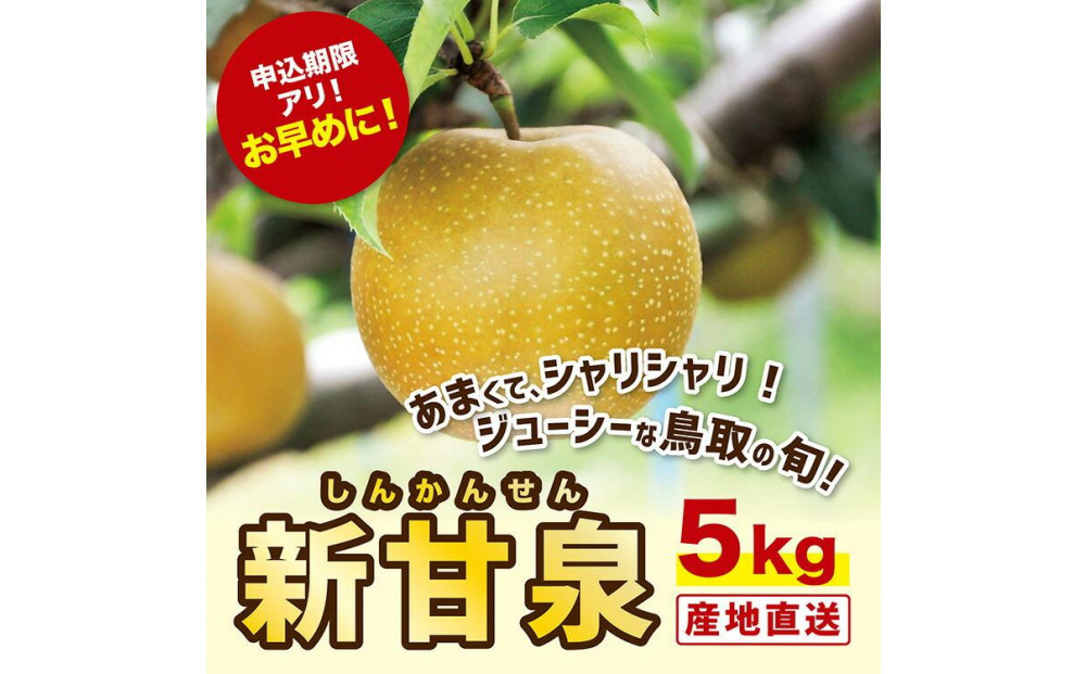 新甘泉&nbsp;5キロ【安田農園】