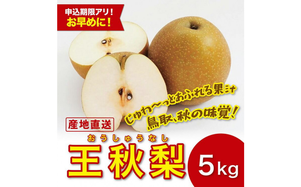 王秋梨&nbsp;5キロ【安田農園】