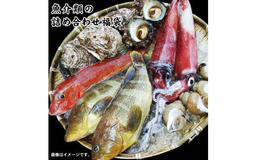 魚介類の詰め合わせ福袋 (魚介類2～4品程度入)