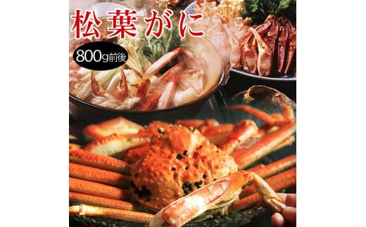 ※受付停止※松葉がに 訳あり (茹で) 大 800g前後×1枚 鳥取県産【フォーシーズン】