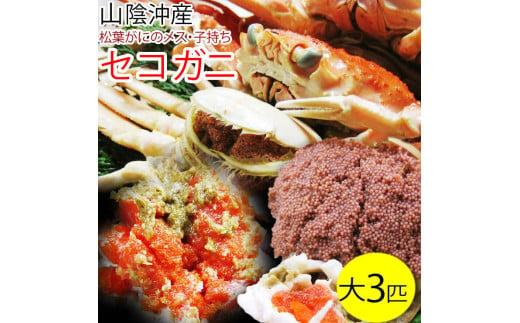 ※受付停止※セコガニ 訳あり (茹で) 大 3枚セット 鳥取県産【フォーシーズン】