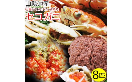 ※受付停止※セコガニ 訳あり (茹で) 8枚セット 鳥取県産【フォーシーズン】