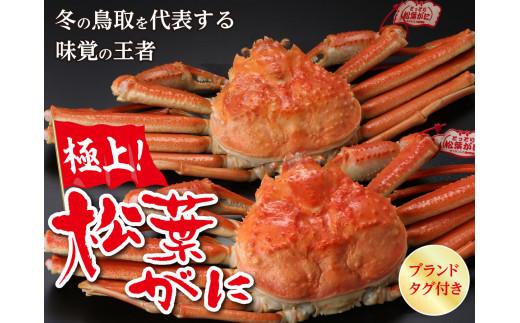 鳥取県産 タグ付き茹で松葉がに【中村商店】