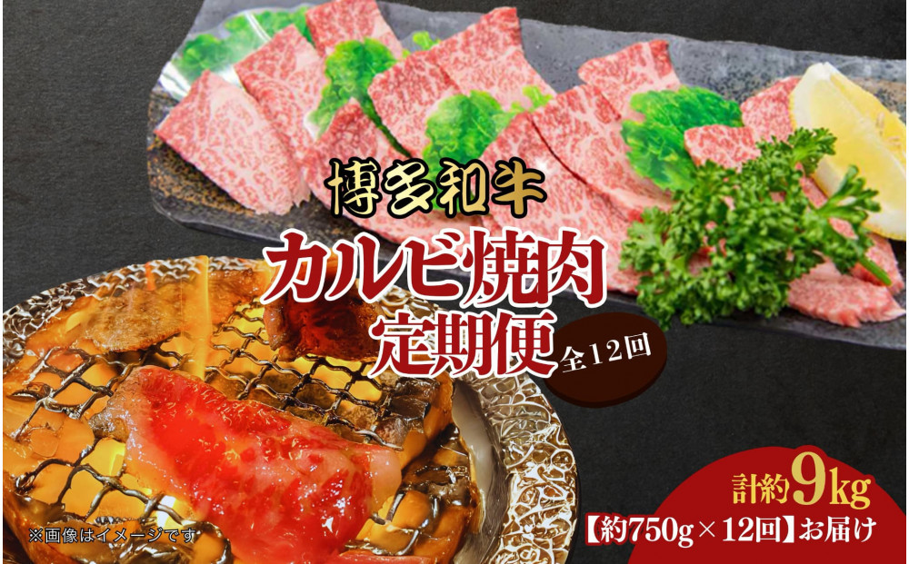 博多和牛&nbsp;カルビ焼肉(バラ)定期便全12回(約750g×12回)