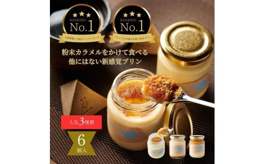 プリン専門店Totto PURIN プリン食べ比べ6個セット