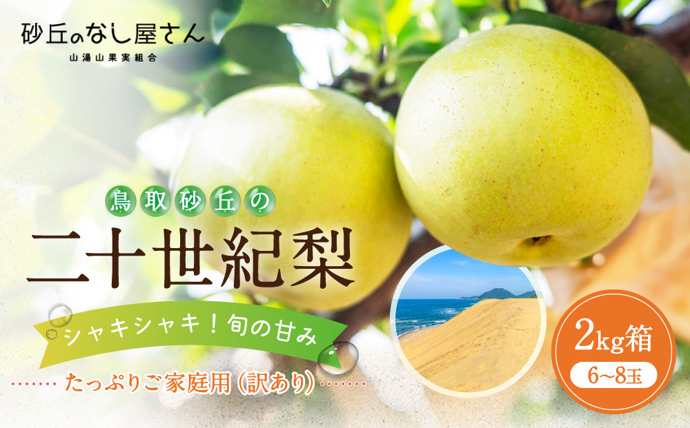 二十世紀梨&nbsp;訳あり&nbsp;2キロ（砂丘のなし屋さん）