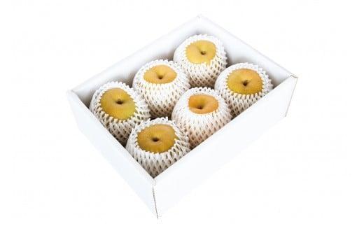 新甘泉&nbsp;秀品&nbsp;3キロ（砂丘のなし屋さん）