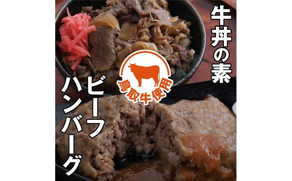 とりちく牛丼の素・鳥取ビーフハンバーグ詰め合わせ