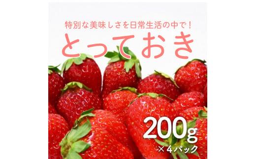 ＜鳥取県産いちご＞とっておき(200g×4パック)【さんチョク】