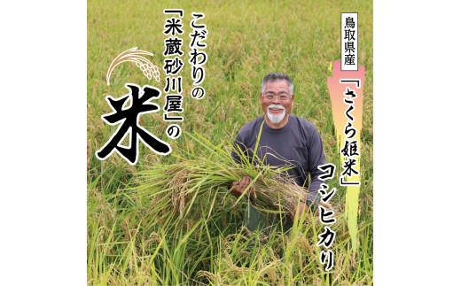 【2026年9月下旬～発送予定】鹿野のさくら姫米&nbsp;3kg