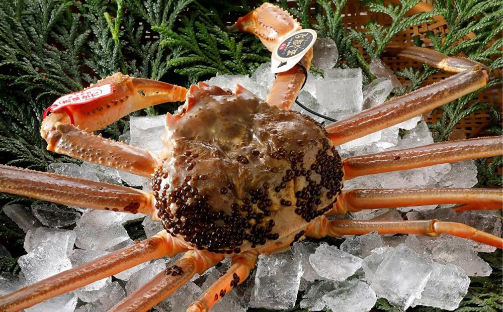 五輝星コースをご堪能［味覚のお宿山田屋］1泊2食ペアご宿泊