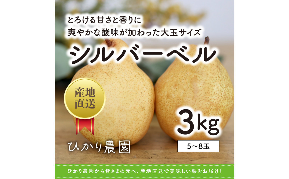 完熟こだわりシルバーベル 3キロ（ひかり農園）