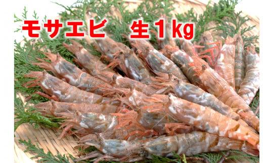 【魚倉】モサエビ&nbsp;生1kg&nbsp;(中～大サイズ)