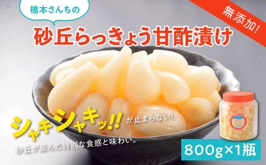 橋本さんちの砂丘らっきょう甘酢漬け 800g (瓶)