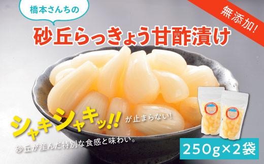 橋本さんちの砂丘らっきょう甘酢漬け 500g