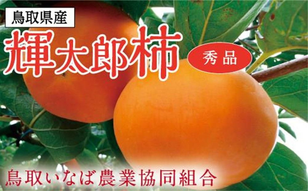 輝太郎柿&nbsp;3キロ【鳥取いなば農業協同組合】