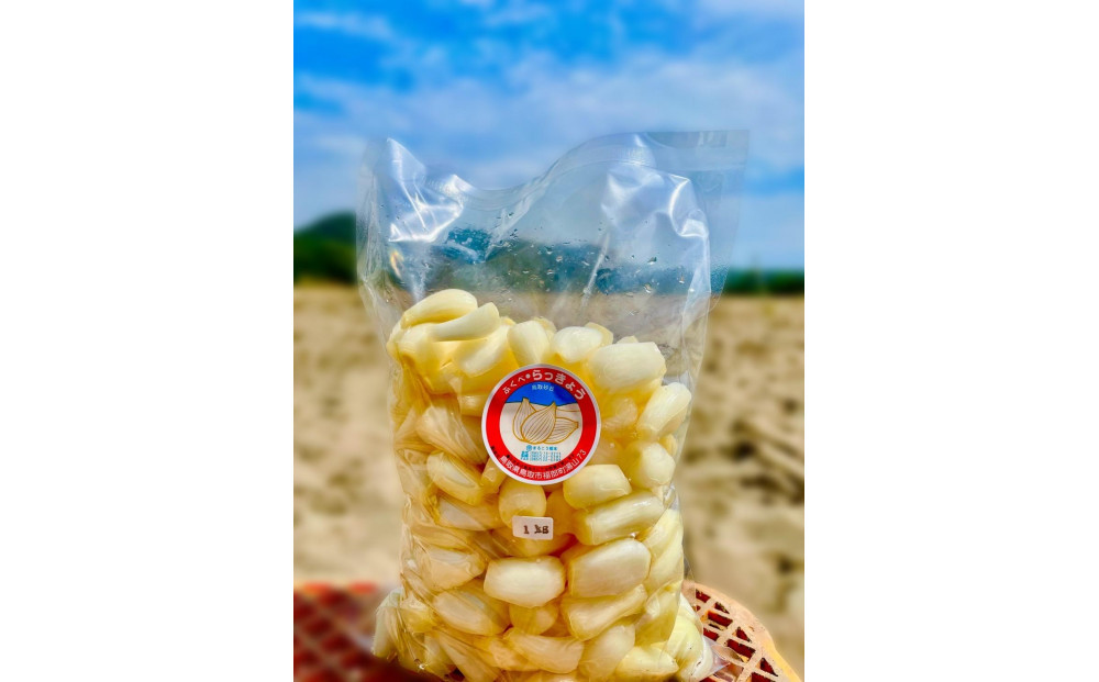 橋本さんちの生洗いらっきょう&nbsp;1kg