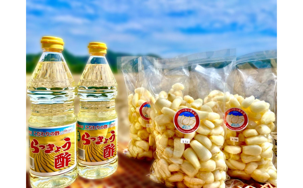 橋本さんちの生洗いらっきょう&nbsp;3kg&nbsp;(らっきょう酢付)