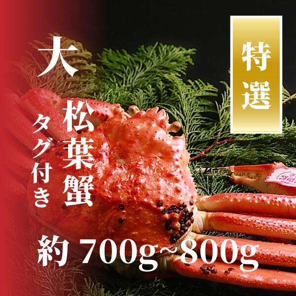 【特選】松葉ガニ 大サイズ 約700g～800g タグ付(茹で)