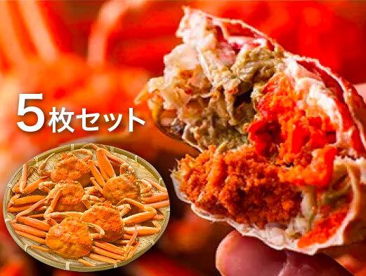 【特選】親がに(せこがに) 5枚セット (浜茹)