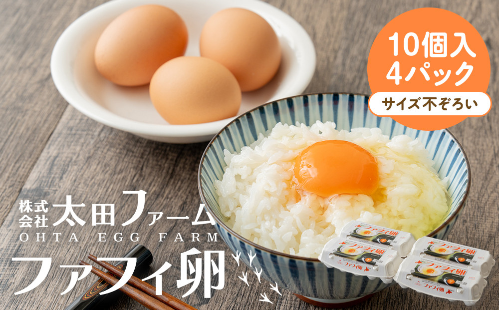 ファフィ卵10個入4パック（サイズ不ぞろい）