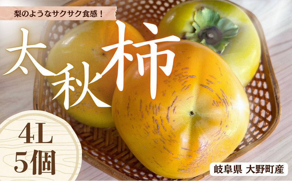 【先行予約】&nbsp;梨のような食感！&nbsp;Farm&nbsp;m&aの太秋柿&nbsp;4L×5個&nbsp;秀品&nbsp;岐阜県&nbsp;大野町（2025年10月中旬～発送）農家直送&nbsp;果物&nbsp;フルーツ&nbsp;秋の味覚&nbsp;柿&nbsp;かき&nbsp;太秋&nbsp;たいしゅう