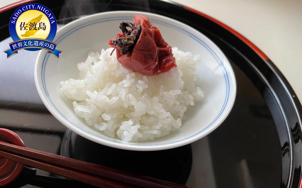 令和6年産　佐渡産コシヒカリ　5キロ　精米　白米　2024年産　ブランド米　