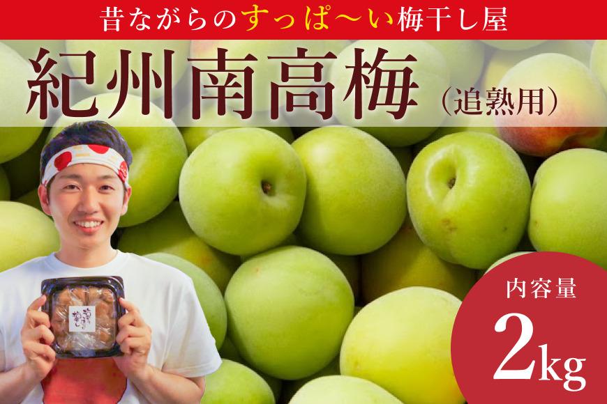 ［先行予約］樹上南高梅の青梅 約2kg 追熟用 梅ボーイズ 紀州南高梅 5月中旬～6月中旬頃に順次発送予定 A-093a