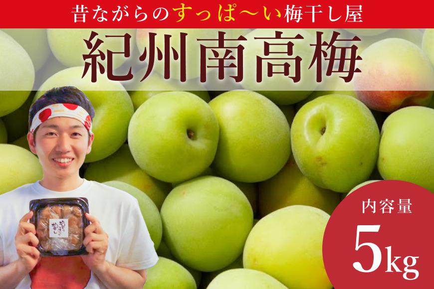 ［先行予約］樹上南高梅の青梅 約5kg 梅ボーイズ 紀州南高梅 5月中旬～6月中旬頃に順次発送予定 B-505