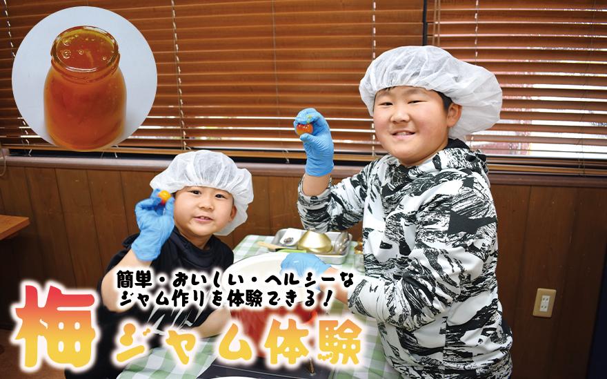 カフェドマンマ食事券1500円分＆梅ジャムづくり体験チケット  A-099a