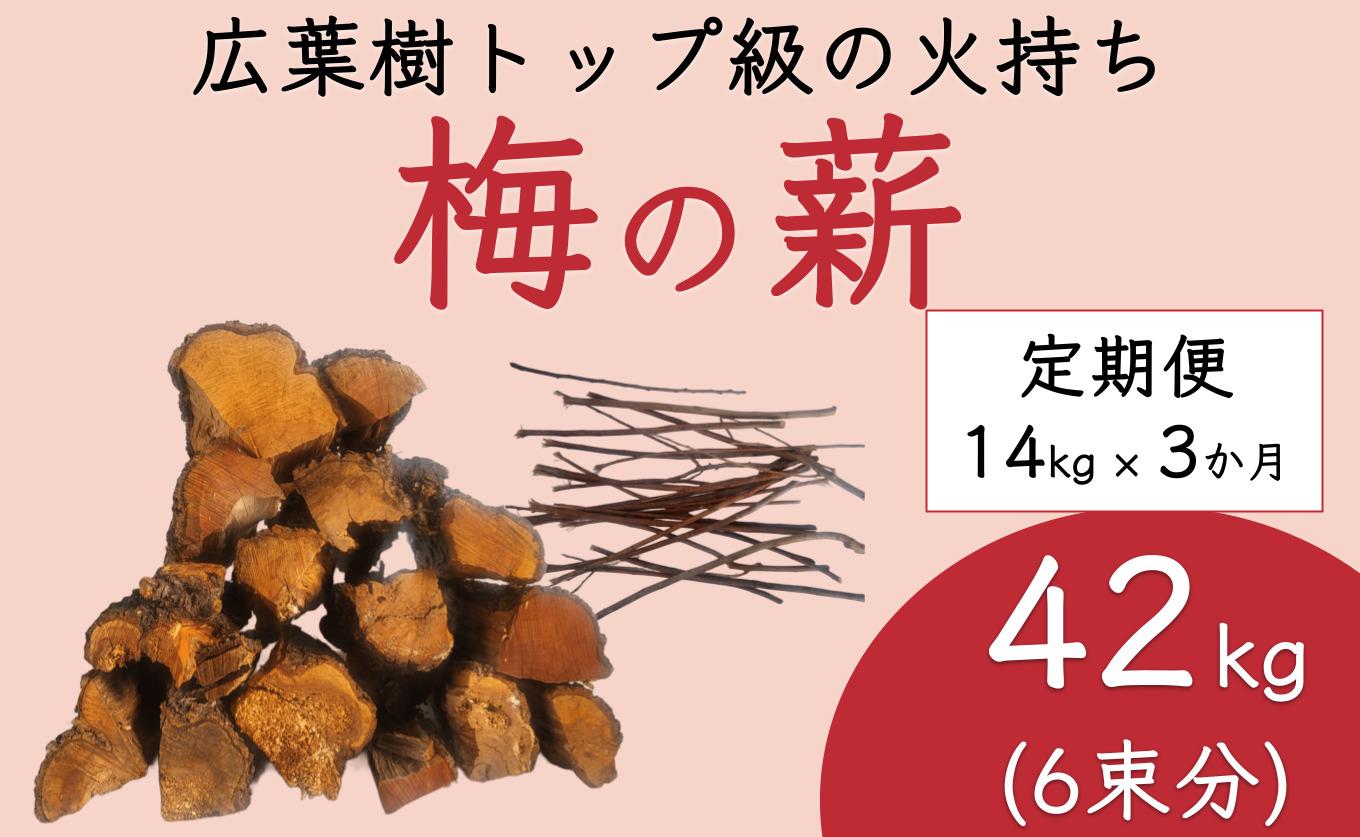 【定期便 毎月発送・全3回 】梅の薪 約14kg×3回 梅ボーイズ 広葉樹【 広葉樹トップ級の火持ち】C-014