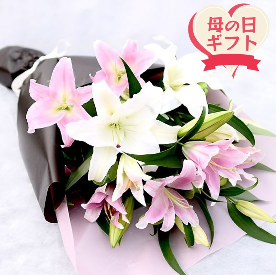 【母の日ギフト】カサブランカとピンク百合の花束＜お届け日：2026年5/4～5/10&nbsp;当店おまかせ&nbsp;＞【母の日&nbsp;ギフト&nbsp;カサブランカ&nbsp;ピンク&nbsp;百合&nbsp;花束&nbsp;花&nbsp;花傷み防止&nbsp;大阪府&nbsp;門真市&nbsp;】