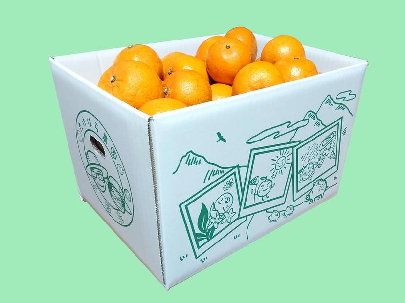 【2026年発送分 先行受付】たんかん ご家庭用バラ詰め７kg【たけはら農園】