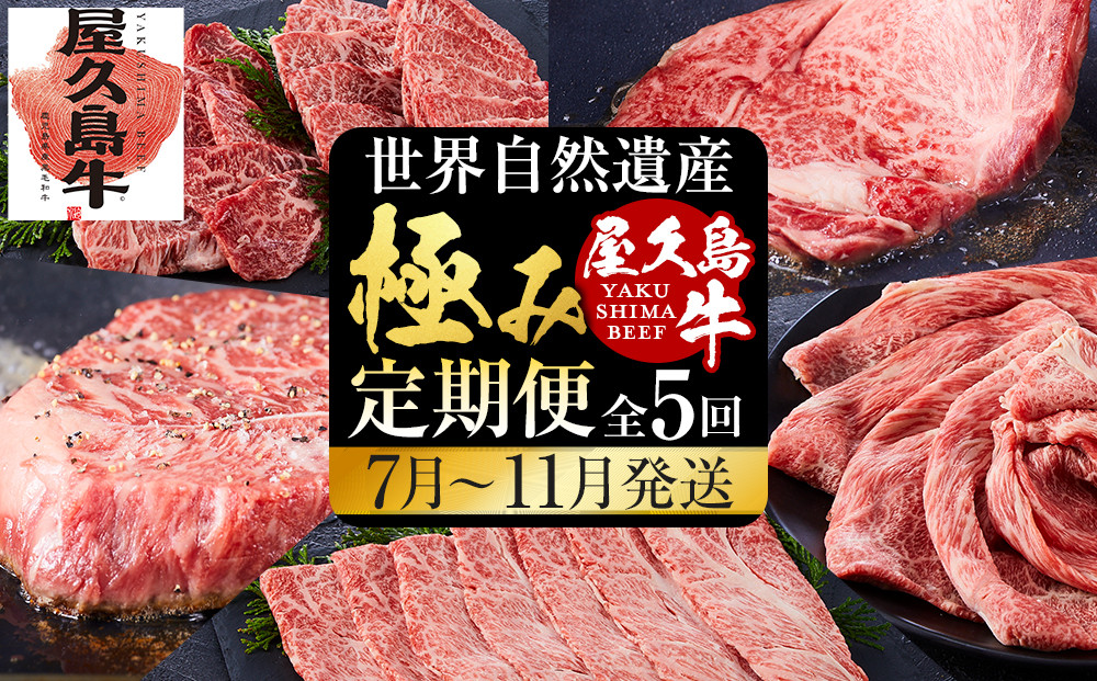 【定期便&nbsp;全5回】【屋久島牛】世界自然遺産極み定期便＜7月～11月発送＞