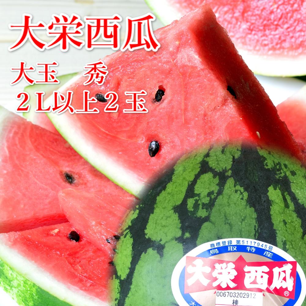 996.【ふるさと納税】【先行予約】大栄西瓜　大　2玉（高間商店）※6月中旬～7月中旬頃に順次発送予定