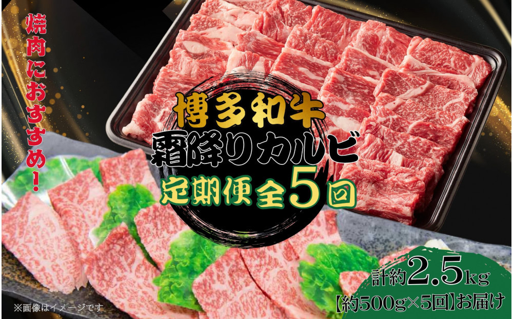 博多和牛&nbsp;霜降りカルビ&nbsp;全5回定期便&nbsp;約500g×5回