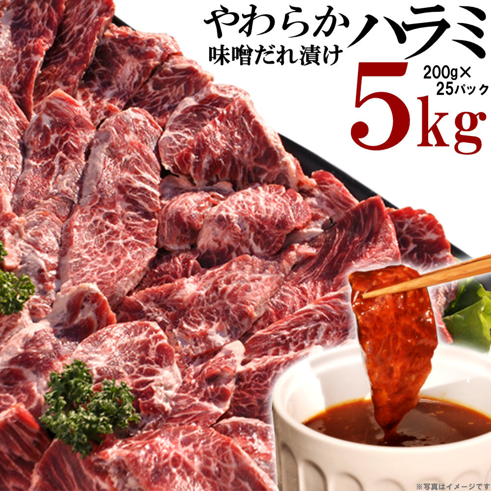 やわらかハラミ味噌だれ漬け5kg（200ｇ×25）