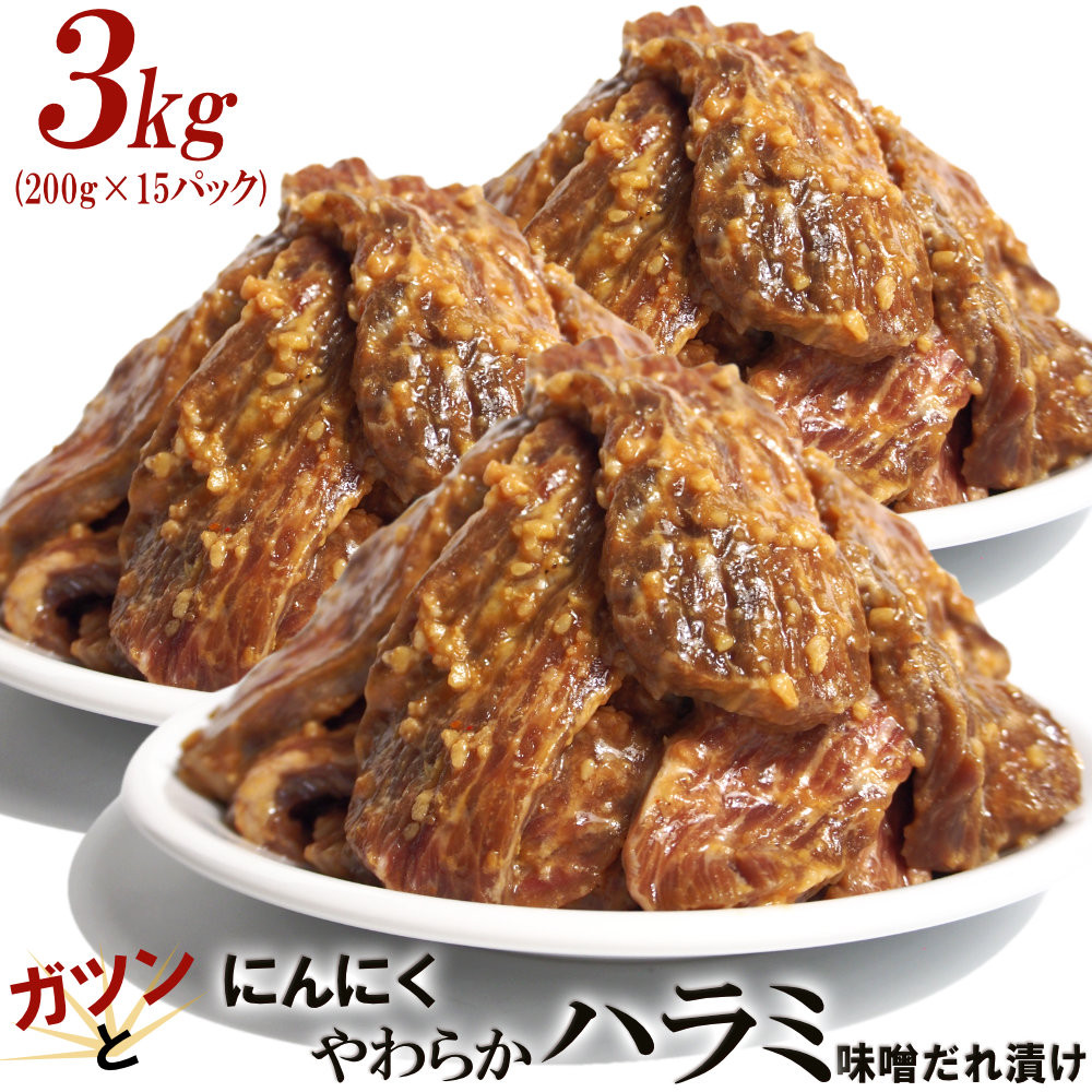 ガツンとにんにくやわらかハラミ味噌だれ漬け3kg（200g×15）