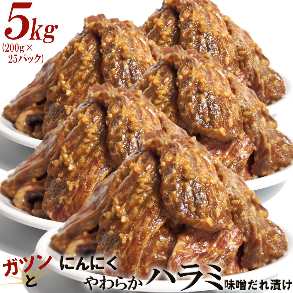 ガツンとにんにくやわらかハラミ味噌だれ漬け5kg（200g×25）