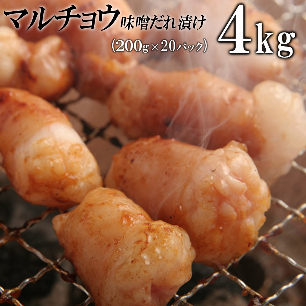 マルチョウ味噌だれ漬け4kg（200g×20）