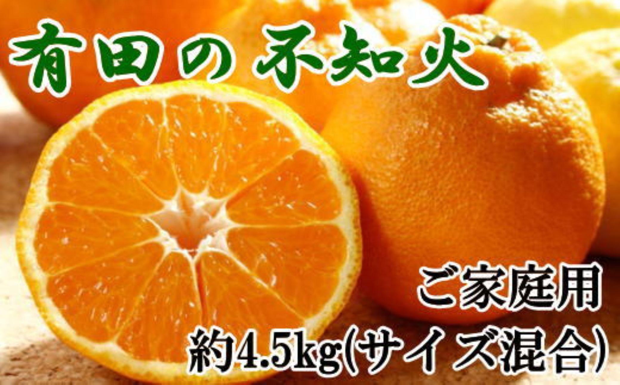 ★2026年2月中旬より発送★ ご家庭用 濃厚 有田の不知火 約4.5kg サイズ混合