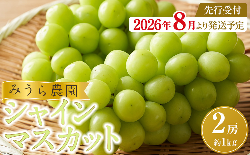 【2026年発送分先行予約】シャインマスカット&nbsp;２房（約１kg）【2026年9月上旬以降順次】