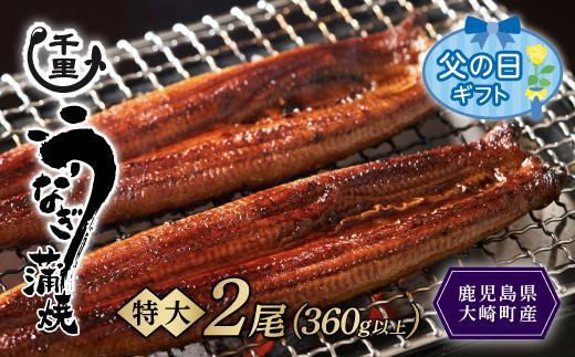 【父の日】鹿児島県産うなぎ　特大蒲焼き2尾　360g以上