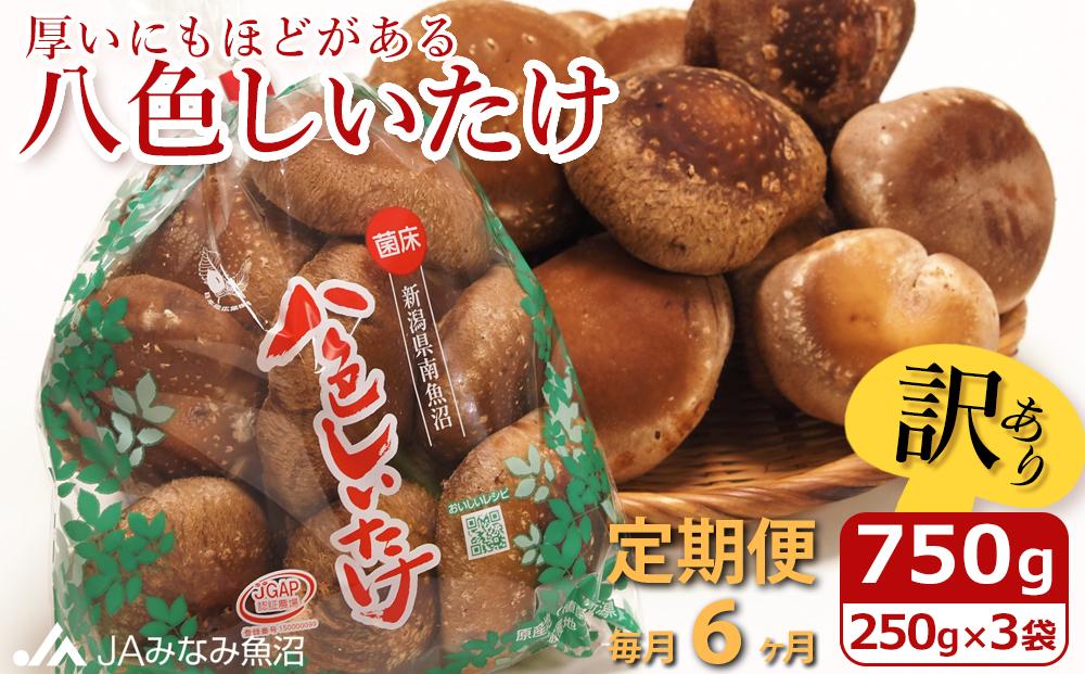 【JAみなみ魚沼定期便】家庭用「八色しいたけ」（750g×全6回） 訳あり 不ぞろい 農家応援 厚いにもほどがある
