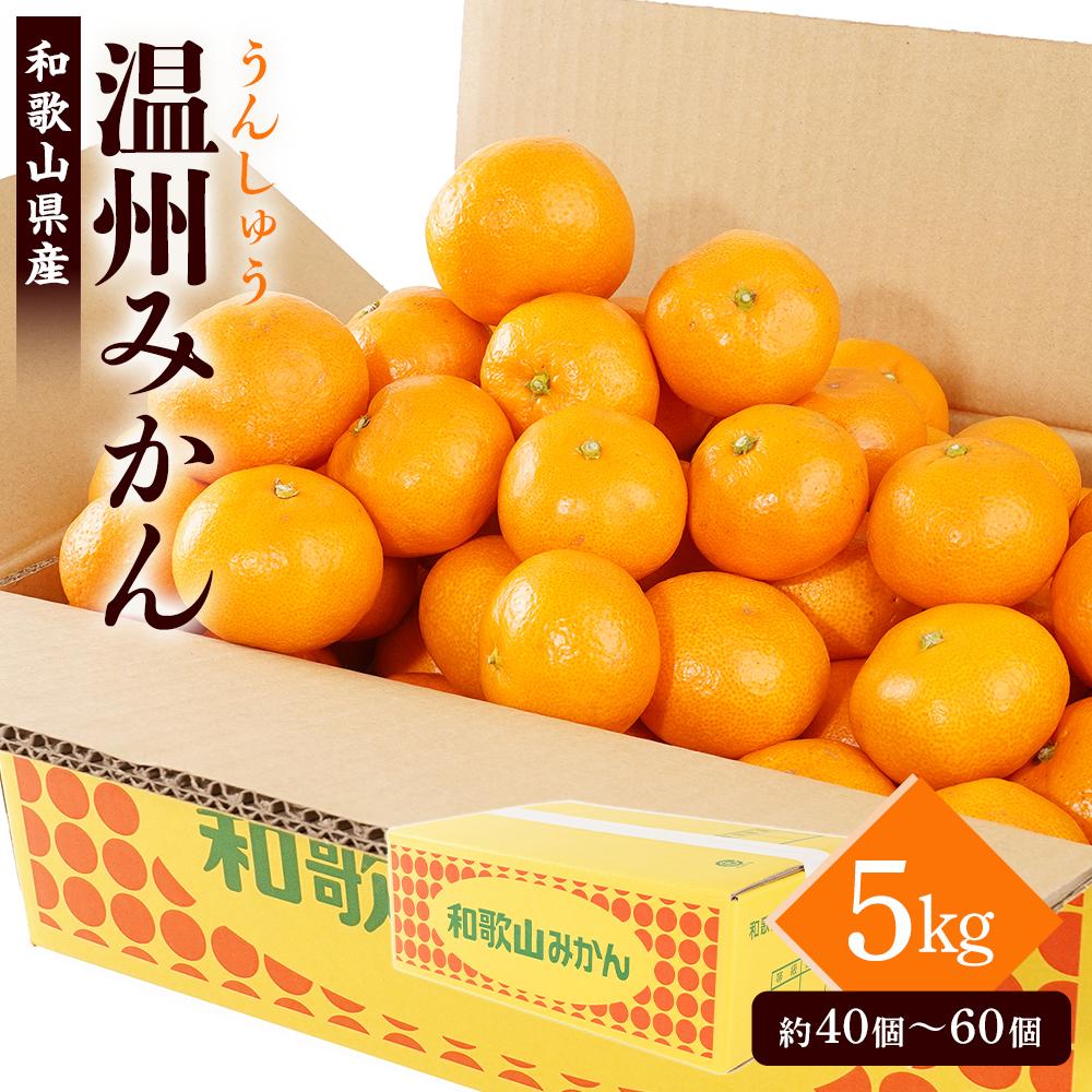 ［先行予約］［2026年11月初旬から11月末頃順次発送］&nbsp;和歌山県産温州みかん&nbsp;約5kg（40個～60個）秀品&nbsp;こだわり農家厳選！［KG31］