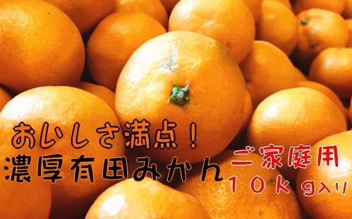 美味しさ満点！濃厚有田みかん１０kg【ご家庭用/サイズ混合】[2022年11月～発送]