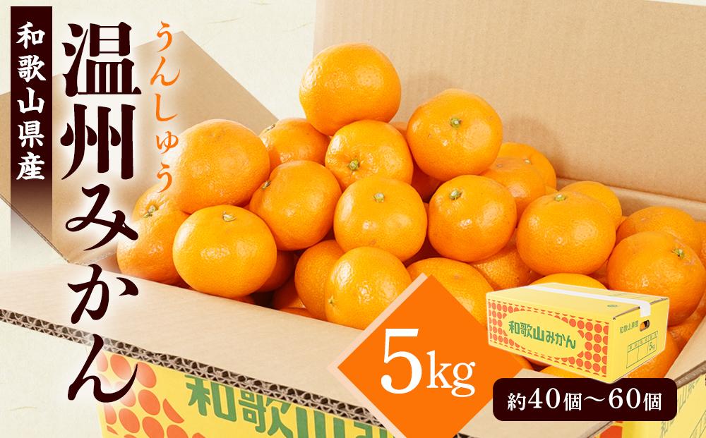 ［先行予約］［2026年11月初旬から11月末頃順次発送］&nbsp;和歌山県産温州みかん&nbsp;約5kg（40個～60個）秀品&nbsp;こだわり農家厳選！［KG31］