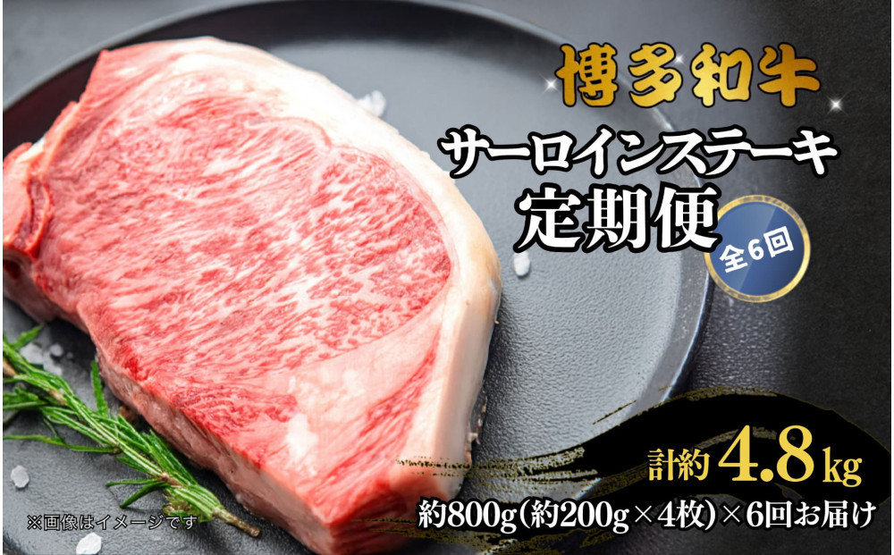 博多和牛 サーロインステーキ 定期便全6回 計約4.8kg(約800g(約200g×4枚)×6回)