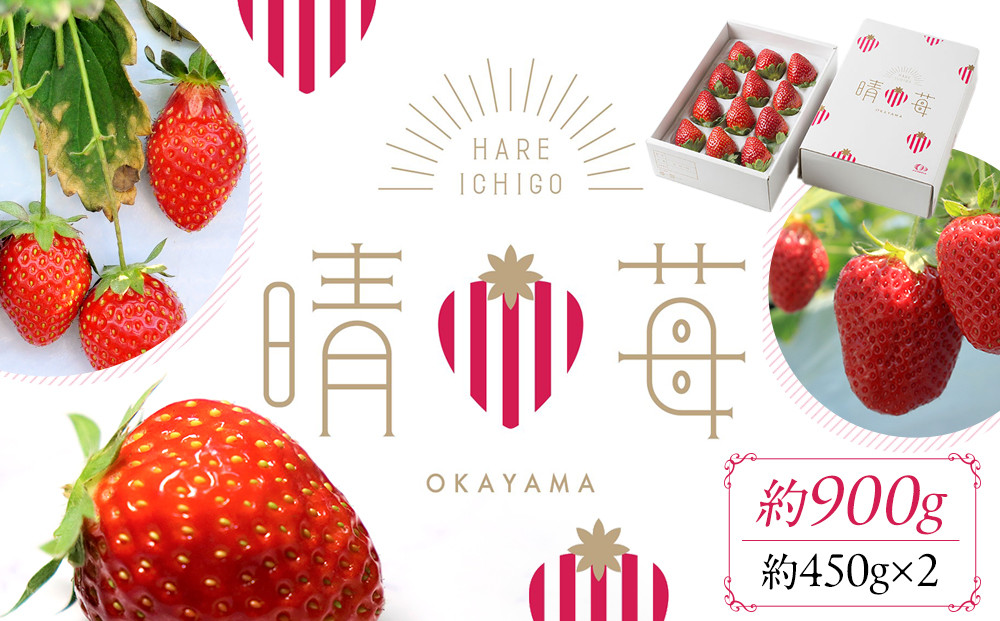 晴苺（はれいちご）約950g（450g×2）【数量限定50セット】【岡山県産 苺 晴れ いちご フルーツ 果物 くだもの 新鮮 おすすめ 人気】
