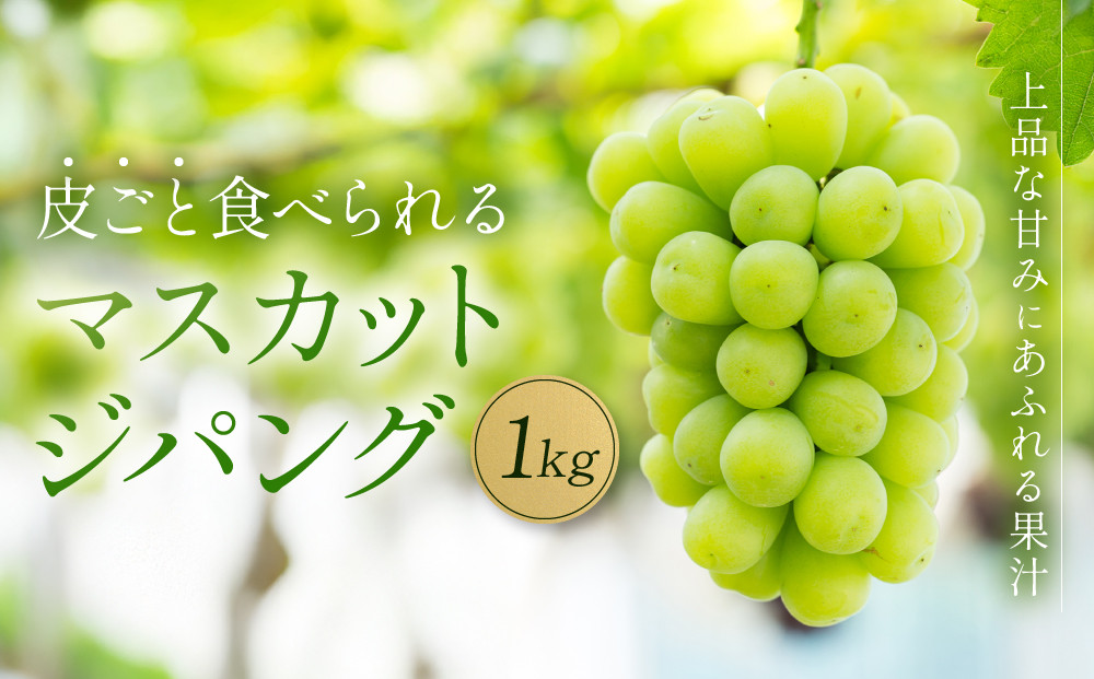 【先行予約】マスカットジパング&nbsp;1kg【数量限定100セット】【シャインマスカット&nbsp;マスカット&nbsp;シャイン&nbsp;ぶどう&nbsp;葡萄&nbsp;フルーツ&nbsp;果物&nbsp;おすすめ&nbsp;人気&nbsp;岡山県産&nbsp;数量限定&nbsp;新鮮】